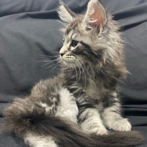 Soy Lilith | Female
